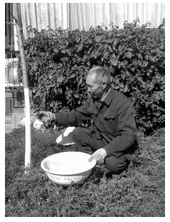 熟石灰改良土壤酸性